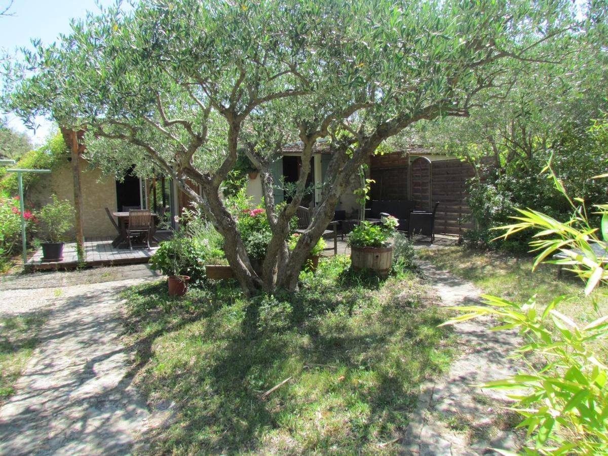Holiday home Des Oliviers