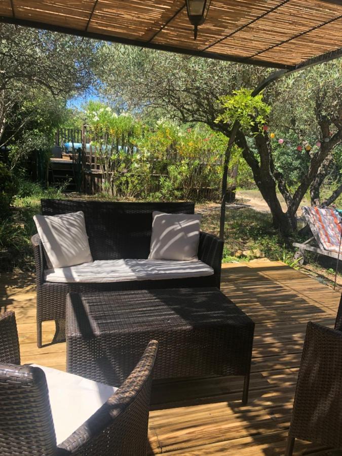 Des Oliviers Holiday home La Roque-sur-Ceze